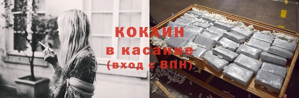 стаф Инсар