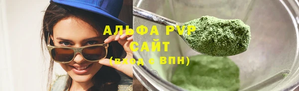 стаф Инсар