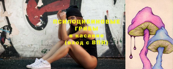 мяу мяу кристалл Иннополис
